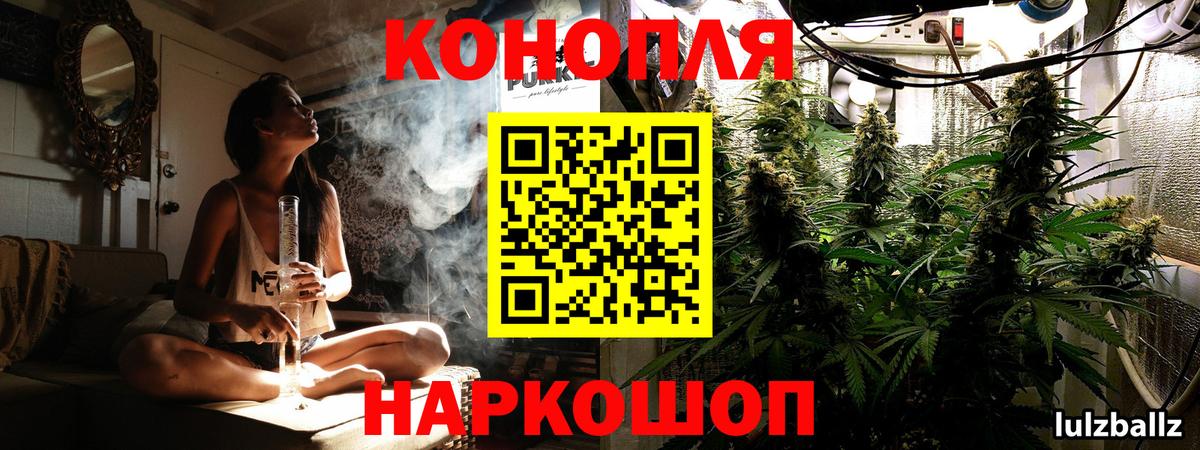 Шишки марихуана план Прохладный